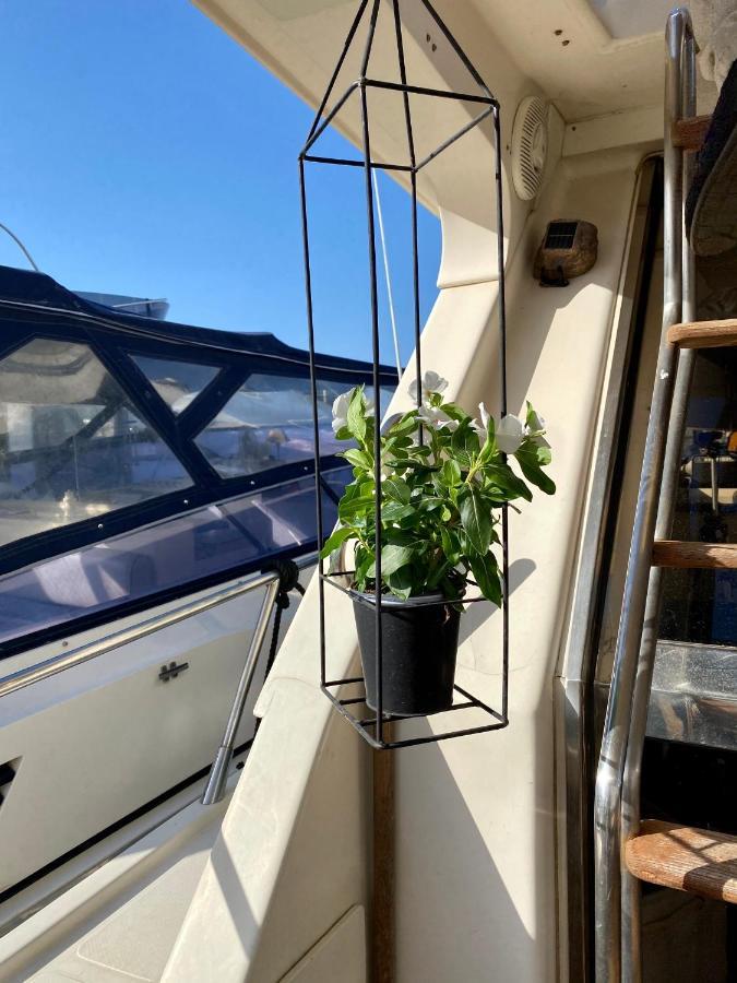 מלון פלרמו Panaby Houseboat מראה חיצוני תמונה